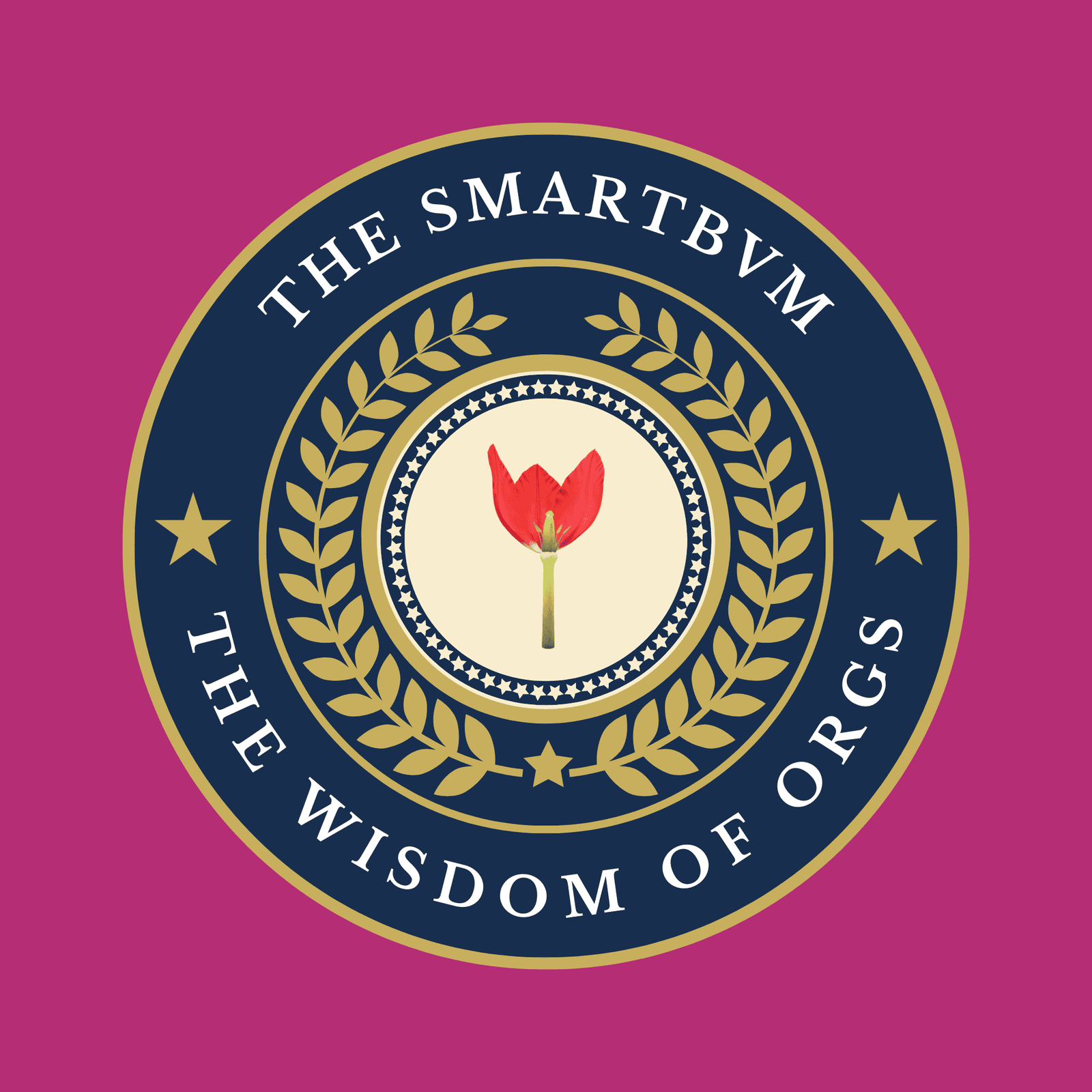 TheSmartBVM